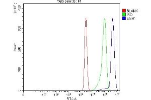 Flow Cytometry analysis of K562 cells using anti-EGR1 antibody (ABIN7600495). (EGR1 抗体  (AA 2-38))