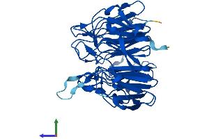 Protein Structure (PS) image for Kelch Domain Containing 8A (KLHDC8A) (AA 1-350) protein (His tag) (ABIN7548714)