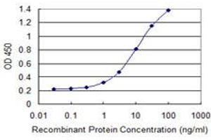 Detection limit for recombinant GST tagged CKAP2 is 0. (CKAP2 抗体  (AA 1-161))