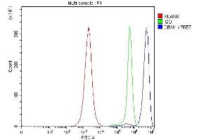 Flow Cytometry analysis of JK cells using anti-DBN1 antibody (ABIN7602637).