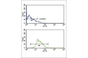 Flow Cytometry (FACS) image for anti-Kynurenine 3-Monooxygenase (Kynurenine 3-Hydroxylase) (KMO) antibody (ABIN3003857) (KMO 抗体)
