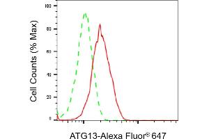 Flow cytometric analysis of ATG13 expression in HT- cells using ATG13 antibody (ABIN7797708), 1:2,000). (Recombinant ATG13 抗体)