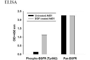 Image no. 4 for Epidermal Growth Factor Receptor (EGFR) ELISA Kit (ABIN625238) (EGFR ELISA 试剂盒)