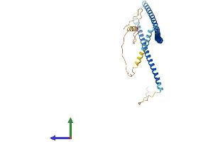 AlphaFold protein structure predicition of Mouse Recombinant Ccdc83 Protein, UniprotID Q9D4V3