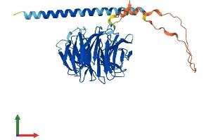 Protein Structure (PS) image for POC1 Centriolar Protein Homolog A (POC1A) (AA 1-405) protein (His tag) (ABIN7559412)