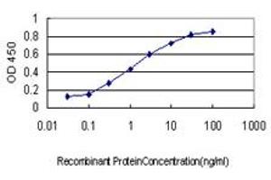 Detection limit for recombinant GST tagged NRF1 is approximately 0. (NRF1 抗体  (AA 201-285))