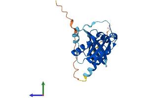 Protein Structure (PS) image for RAB3B, Member RAS Oncogene Family (RAB3B) (AA 1-219) protein (His tag) (ABIN7560802)
