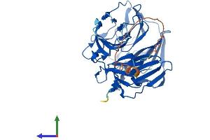Protein Structure (PS) image for Rab9 Effector Protein with Kelch Motifs (RABEPK) (AA 1-372) protein (His tag) (ABIN7551209)