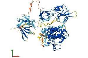 AlphaFold protein structure predicition of Mouse Recombinant Itk Protein, UniprotID Q03526