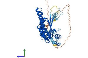 Protein Structure (PS) image for N-terminal EF-Hand Calcium Binding Protein 1 (NECAB1) (AA 1-351) protein (His tag) (ABIN7549825)