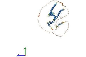 AlphaFold protein structure predicition of Human Recombinant GOLGA8R Protein, UniprotID I6L899 (GOLGA8R Protein (AA 1-631) (His tag))