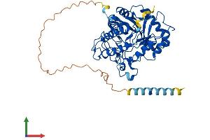 Protein Structure (PS) image for Mannosidase, Endo-alpha (MANEA) (AA 1-462) protein (His tag) (ABIN7549178)
