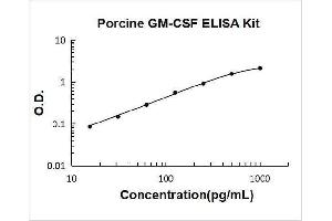Typical Standard Curve