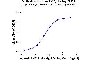 ELISA image for Interleukin 12 (IL12) (AA 23-328) protein (His-Avi Tag,Biotin) (ABIN7274899)