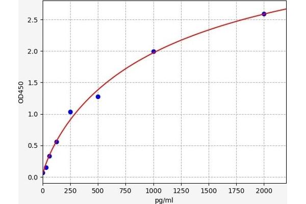 XCL1 ELISA 试剂盒