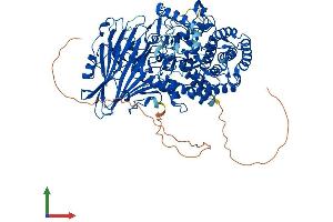 Protein Structure (PS) image for Glucosidase, beta (Bile Acid) 2 (GBA2) (AA 1-927) protein (His tag) (ABIN7553991)