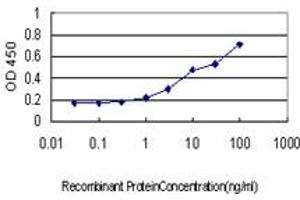 ELISA image for anti-NAD Kinase (NADK) (AA 1-446) antibody (ABIN566302)