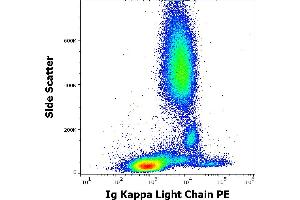 Flow cytometry surface staining pattern of human peripheral whole blood stained using anti-human Ig Kappa Light Chain (TB28-2) PE antibody (10 μL reagent / 100 μL of peripheral whole blood). (kappa Light Chain 抗体  (PE))
