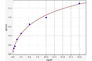 Typical standard curve (PKC eta ELISA 试剂盒)