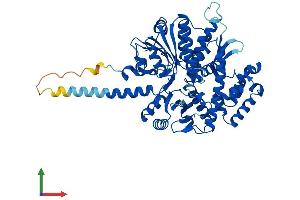 Protein Structure (PS) image for Cell Division Cycle 45 Homolog (S. Cerevisiae) (CDC45) (AA 1-566) protein (His tag) (ABIN7553333)