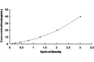 Typical standard curve (BNIP3 ELISA 试剂盒)