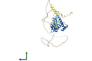 AlphaFold protein structure predicition of Mouse Recombinant Lhx4 Protein, UniprotID P53776