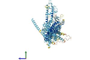 Protein Structure (PS) image for Transient Receptor Potential Cation Channel, Subfamily M, Member 8 (TRPM8) (AA 1-1104) protein (His tag) (ABIN7555844)