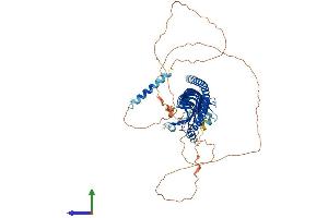 Protein Structure (PS) image for Junctophilin 1 (JPH1) (AA 1-660) protein (His tag) (ABIN7565073)