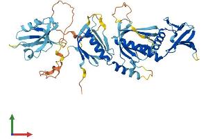 Protein Structure (PS) image for Syntrophin, alpha 1 (Dystrophin-Associated Protein A1, 59kDa, Acidic Component) (SNTA1) (AA 1-503) protein (His tag) (ABIN7557682)