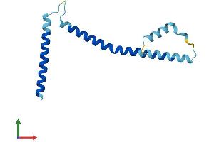 Protein Structure (PS) image for Spindle and Kinetochore-Associated Protein 2 (FAM33A) (AA 1-121) protein (His tag) (ABIN7546027)
