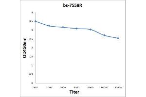 Antigen: 2 µg/100 µL  Primary: Antiserum, 1:500, 1:1000, 1:2000, 1:4000, 1:8000, 1:16000, 1:32000;  Secondary: HRP conjugated Rabbit Anti-Goat IgG at 1: 5000;  TMB staining Read the data in Microplate Reader by 450nm. (MC3R 抗体  (AA 131-230))