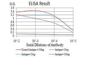 Black line: Control Antigen (100 ng),Purple line: Antigen (10 ng), Blue line: Antigen (50 ng), Red line:Antigen (100 ng) (NAA10 抗体  (AA 111-235))