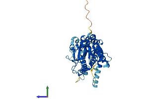 Protein Structure (PS) image for Asparagine-Linked Glycosylation 2, alpha-1,3-Mannosyltransferase Homolog (ALG2) (AA 1-416) protein (His tag) (ABIN7551970)