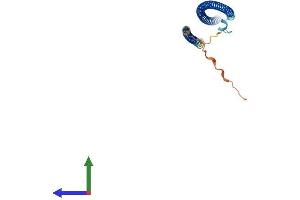 Protein Structure (PS) image for RAB GTPase Activating Protein 1-Like (RABGAP1L) (AA 1-253) protein (His tag) (ABIN7551271)
