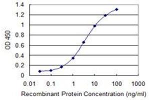 Detection limit for recombinant GST tagged DAPK2 is 0. (DAPK2 抗体  (AA 281-370))