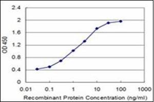 ELISA image for anti-Neuropeptide Y (NPY) antibody (ABIN953680) (NPY 抗体)