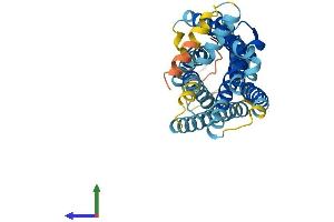 Protein Structure (PS) image for Chemokine (C-X-C Motif) Receptor 1 (CXCR1) (AA 1-351) protein (His tag) (ABIN7558481)