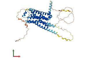 AlphaFold protein structure predicition of Mouse Recombinant Adrb1 Protein, UniprotID P34971