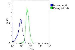 Overlay histogram showing U-2OS cells stained with (ABIN6242838 and ABIN6578520) (green line). (RPL14 抗体  (AA 117-147))