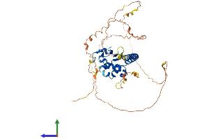 Protein Structure (PS) image for TSPY-Like 1 (TSPYL1) (AA 1-437) protein (His tag) (ABIN7544884)