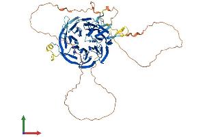 Protein Structure (PS) image for Chromatin Assembly Factor 1, Subunit B (p60) (CHAF1B) (AA 1-572) protein (His tag) (ABIN7560844)