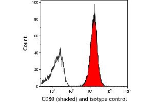 Flow Cytometry (FACS) image for anti-CD80 (CD80) (AA 37-245) antibody (ABIN7449358) (Recombinant CD80 抗体  (AA 37-245))