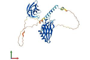 Protein Structure (PS) image for Synaptotagmin II (SYT2) (AA 1-419) protein (His tag) (ABIN7544094)