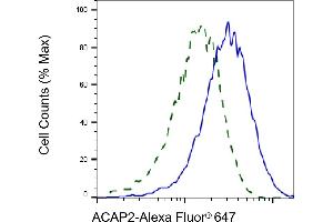 Validation of ACAP2 knockdown using flow cytometry.