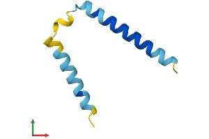 Protein Structure (PS) image for Small EDRK-Rich Factor 1A (Telomeric) (SERF1A) (AA 1-62) protein (Fc Tag) (ABIN7562685)
