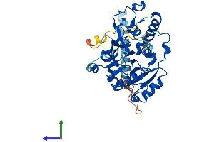 Protein Structure (PS) image for Glycosyltransferase 8 Domain Containing 2 (GLT8D2) (AA 1-349) protein (His tag) (ABIN7557806)