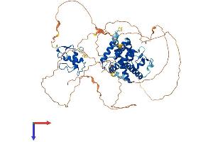 NR4A3 Protein (AA 1-627) (His tag)