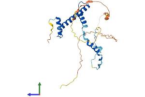 Protein Structure (PS) image for TAF9B RNA Polymerase II, TATA Box Binding Protein (TBP)-Associated Factor, 31kDa (TAF9B) (AA 1-251) protein (His tag) (ABIN7544228)