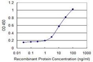 Detection limit for recombinant GST tagged CFC1 is 0. (CFC1 抗体  (AA 27-93))