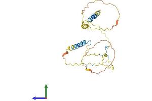 Protein Structure (PS) image for Linker For Activation of T Cells Family, Member 2 (LAT2) (AA 1-243) protein (His tag) (ABIN7550030)